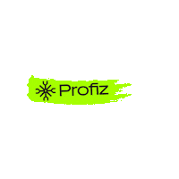 Pinturaprofiz Sticker by Profiz