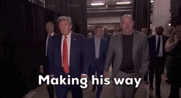 Donald Trump Fight GIF by UFC