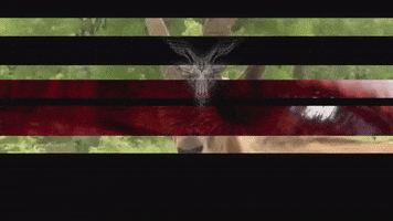 Art Video GIF by jorgemariozuleta