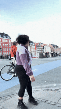 Great Danes Denmark GIF