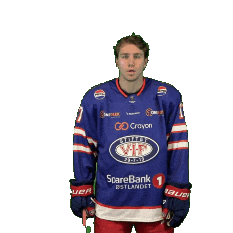 Leo Lett Sticker by VIF Hockey