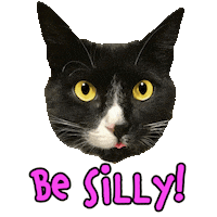 Have Fun Be Silly Sticker