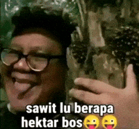 Kris Sawit GIF