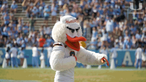 college football GIF by Miami Hurricanes