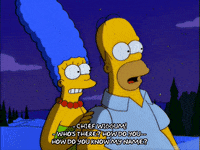 homer simpson GIF
