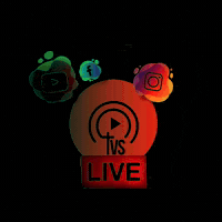 Tvsplay GIF by pedro marinho