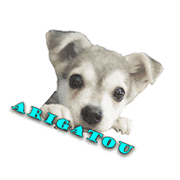 Arigato Densk Sticker