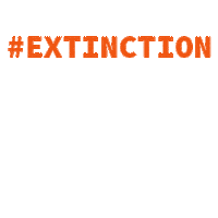 Earth Day Eeh Sticker by Lonely Whale