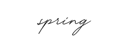 Spring Lifestyle Sticker by IDENTITY DIGITAL