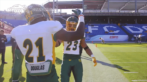 football bison GIF by NDSU Athletics