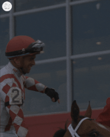 Right Now Point GIF by World Horse Racing