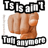 Ts Is Aint Sticker