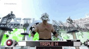 triple h wrestling GIF by WWE