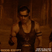 GIF by Lionsgate Home Entertainment