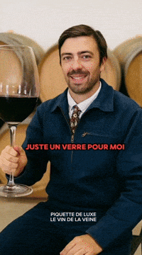 Vin GIF by systaime