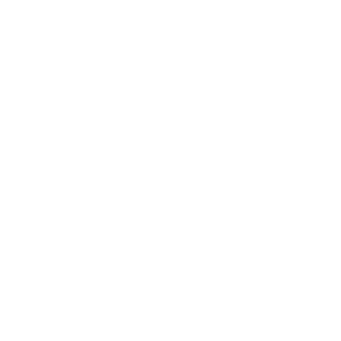 Logo Hindernislauf Sticker by XLETIX