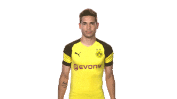 borussia dortmund thank you Sticker by Bundesliga