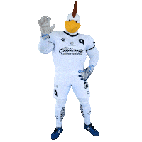 Gallardo Hello Sticker by Club Querétaro