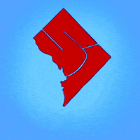 Washington Dc GIF by Creative Courage