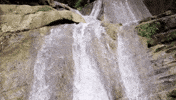 mexico great gardens las pozas GIF by NOWNESS