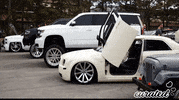 Show Stance GIF by Curated Stance!