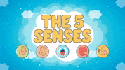 5 Senses GIF