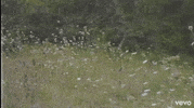 fields am i talking to you? GIF by Baker Grace