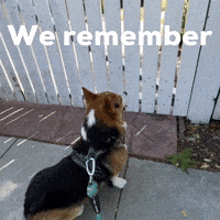Dog We Remember GIF