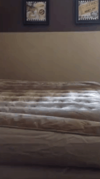 air playing GIF