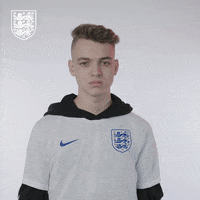Three Lions Football GIF by England