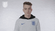Three Lions Football GIF by England