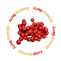 otziskin ginseng otzi otziskin otzi skin Sticker