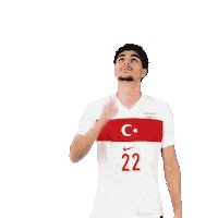 Ay Yildiz Millitakim Sticker by Kaan Ayhan