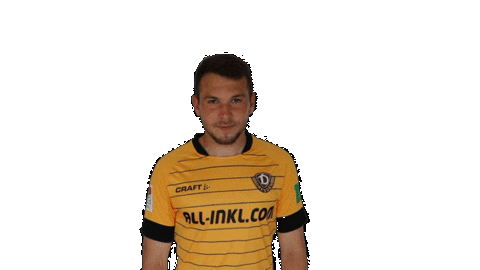 Goal Celebrate Sticker by SG Dynamo Dresden