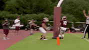 Football Tu GIF by Trinity University