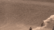 Ride GIF by Harley-Davidson
