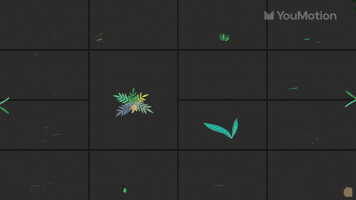 Animated Flowers Animations