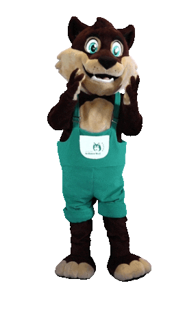 Mascot Hello Sticker by Camping de Kleine Wolf