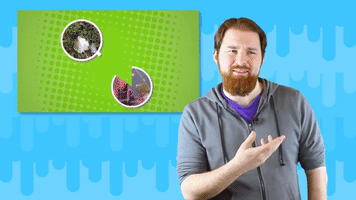 history of slime GIF by Channel Frederator