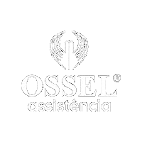 Sorocaba Sticker by OSSEL Assistência