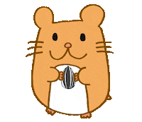 nakon389725 shock hamster びっくり 驚き Sticker