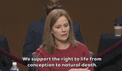 Senate Judiciary Committee GIF by GIPHY News