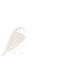 Brunorisas Sticker by BRUNORI SAS OFFICIAL FAN CLUB