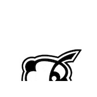 Phetus phetus Sticker