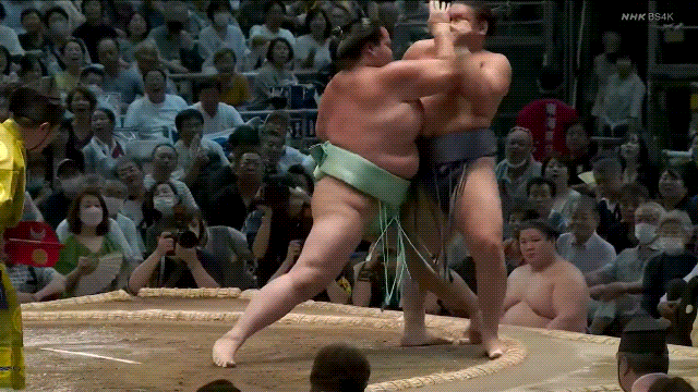 TZ85 giphyupload sumo 2023 nagoya basho hoshoryu GIF