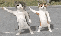 Dance Dancing GIF by jOnNy'S wOrLd