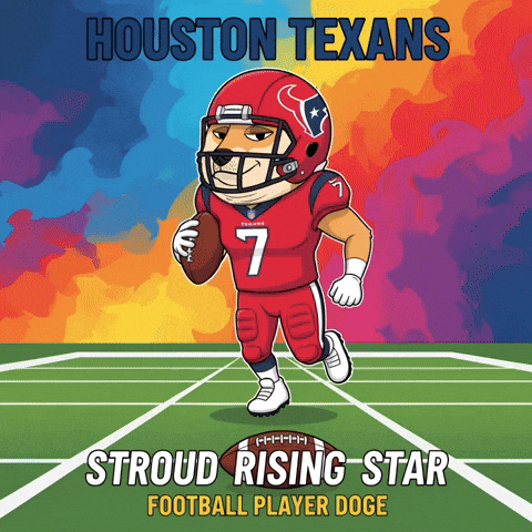 Houston Texans Running GIF by Doge Pound