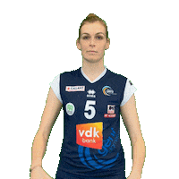 Volleyball Sticker by vdk Gent Damesvolley