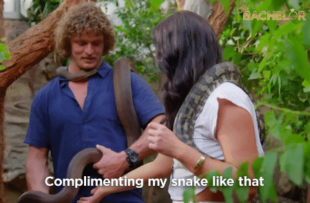 honey badger rose GIF by The Bachelor Australia