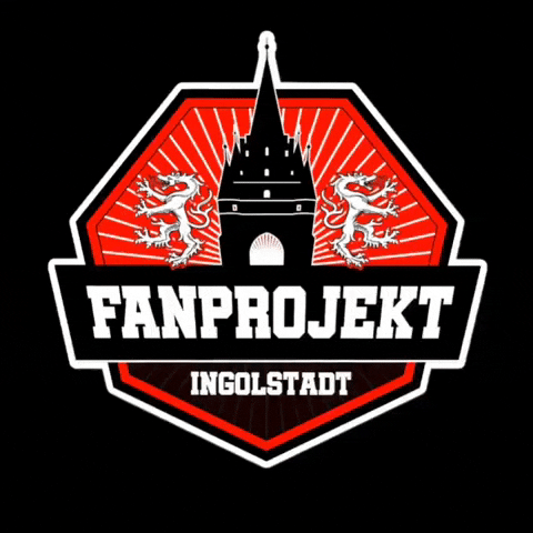 Fanprojekt-Ingolstadt fanprojektingolstadt forzafci ingolwood GIF